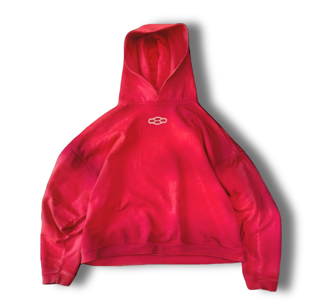 ViSION HOODiE